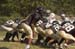 rmhs08jbfoot64