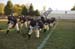 rmhs08jbfoot89