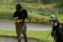 rmhs14zzgolf103