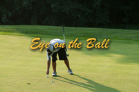 rmhs14zzgolf120