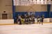 rmhs08zzihcl10