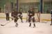 rmhs08zzihcl47