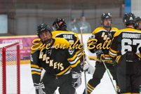 rmhs14zzihcl113