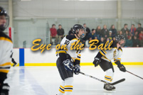rmhs15zzihcl11