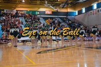 mcps11poms399
