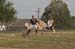 rmhs08vbsocc128