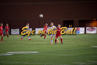 rmhs15vgsocc184