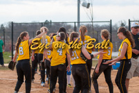 rmhs14vgsoft133