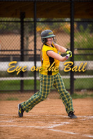 rmhs15vgsoft223