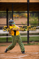 rmhs15vgsoft224