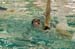 rmhs08zzswim103