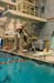rmhs08zzswim39