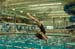 rmhs08zzswim60