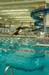 rmhs08zzswim67