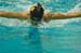 rmhs08zzswim79