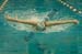 rmhs08zzswim80