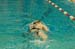 rmhs08zzswim81