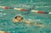 rmhs08zzswim84