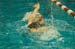 rmhs08zzswim85