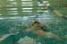 rmhs08zzswim93