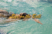 rmhs14zzswim140
