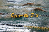 rmhs14zzswim287