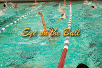 rmhs14zzswim33