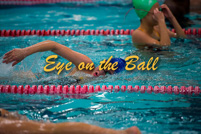 rmhs15zzswim28
