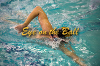 rmhs15zzswim310