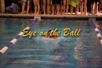 rmhs15zzswim431