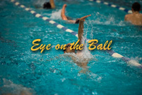 rmhs15zzswim95