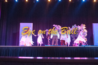 rmhs13zzdram181