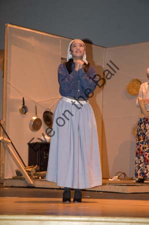 rmhs08zzfotr29