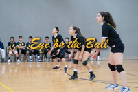 rmhs14zzvoll80