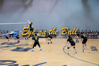 rmhs14zzvoll87