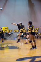rmhs15zzvoll117