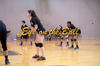 rmhs15zzvoll160