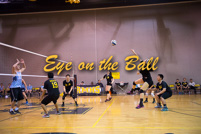 rmhs15zzvoll172