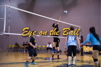 rmhs15zzvoll179