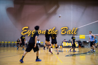 rmhs15zzvoll204
