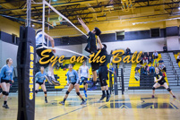 rmhs15zzvoll219