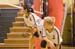 rmhs08jgvoll59