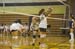 rmhs08jgvoll73