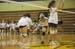 rmhs08jgvoll74