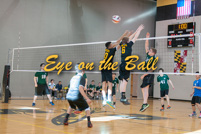 rmhs14vbvoll21