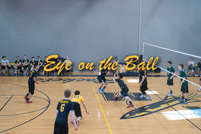 rmhs14vbvoll29