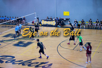 rmhs15vbvoll166