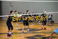 rmhs15vbvoll198