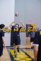 rmhs15vbvoll20