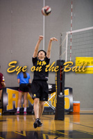 rmhs15vbvoll29